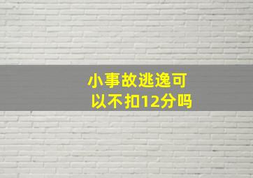 小事故逃逸可以不扣12分吗