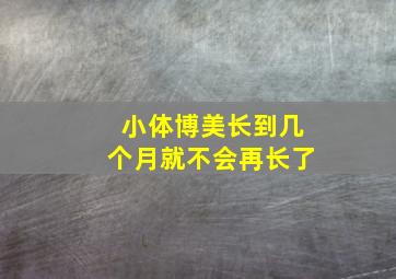 小体博美长到几个月就不会再长了