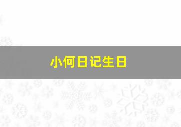 小何日记生日