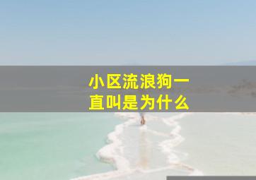 小区流浪狗一直叫是为什么