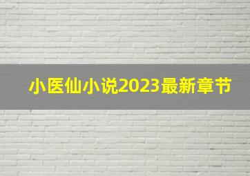 小医仙小说2023最新章节