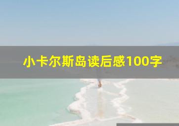 小卡尔斯岛读后感100字