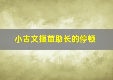 小古文揠苗助长的停顿