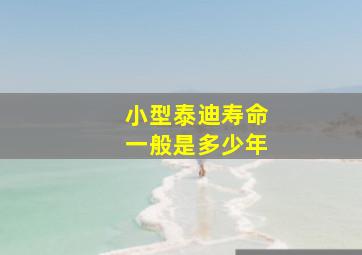 小型泰迪寿命一般是多少年