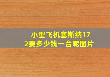 小型飞机塞斯纳172要多少钱一台呢图片