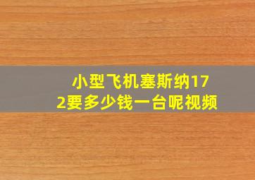 小型飞机塞斯纳172要多少钱一台呢视频