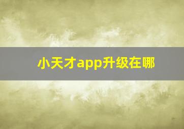 小天才app升级在哪