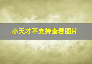 小天才不支持查看图片