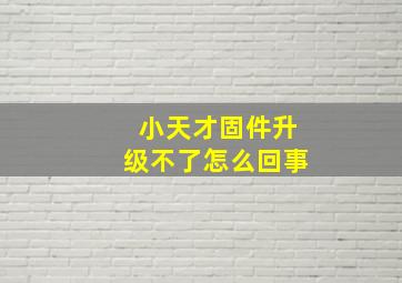 小天才固件升级不了怎么回事