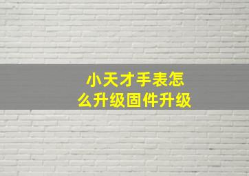 小天才手表怎么升级固件升级