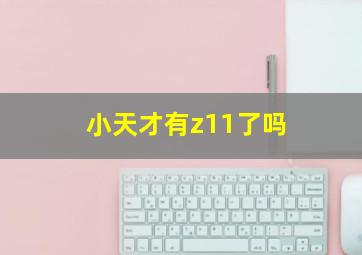 小天才有z11了吗