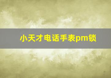 小天才电话手表pm锁