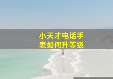 小天才电话手表如何升等级