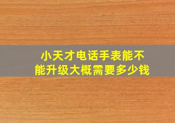 小天才电话手表能不能升级大概需要多少钱