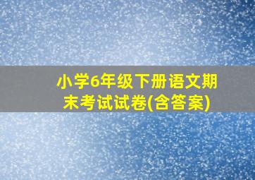 小学6年级下册语文期末考试试卷(含答案)