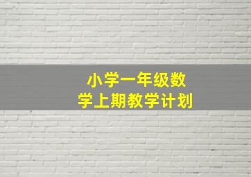 小学一年级数学上期教学计划