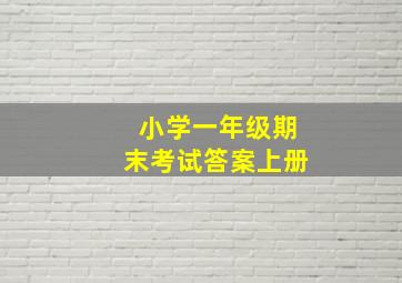 小学一年级期末考试答案上册