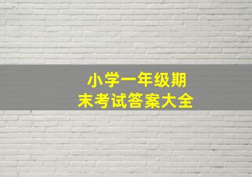 小学一年级期末考试答案大全