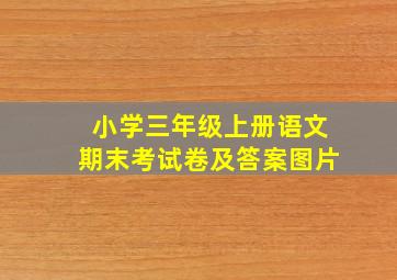 小学三年级上册语文期末考试卷及答案图片