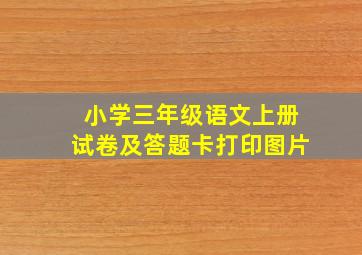 小学三年级语文上册试卷及答题卡打印图片