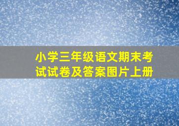 小学三年级语文期末考试试卷及答案图片上册