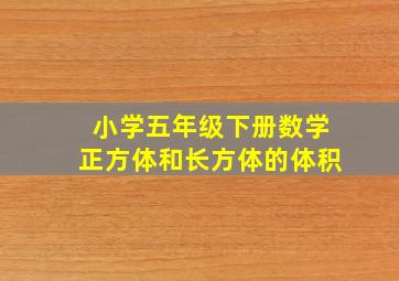 小学五年级下册数学正方体和长方体的体积