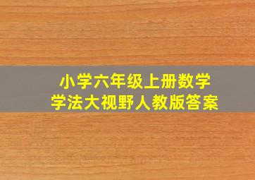 小学六年级上册数学学法大视野人教版答案