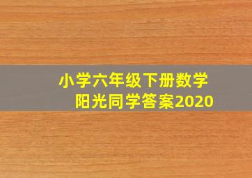 小学六年级下册数学阳光同学答案2020