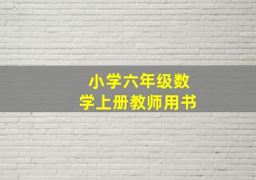 小学六年级数学上册教师用书