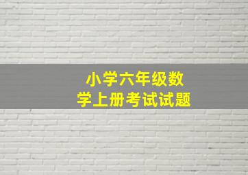 小学六年级数学上册考试试题