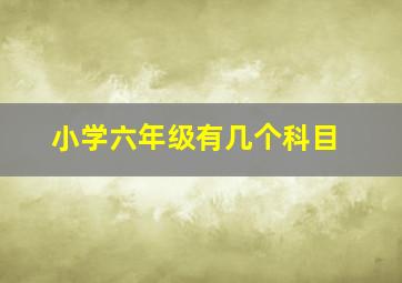 小学六年级有几个科目