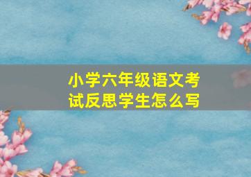 小学六年级语文考试反思学生怎么写