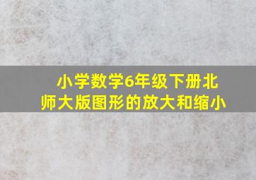 小学数学6年级下册北师大版图形的放大和缩小