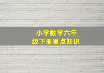 小学数学六年级下册重点知识