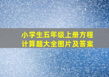 小学生五年级上册方程计算题大全图片及答案