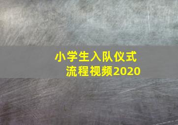 小学生入队仪式流程视频2020