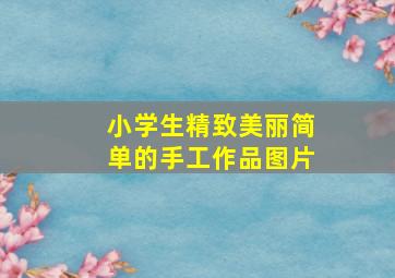 小学生精致美丽简单的手工作品图片