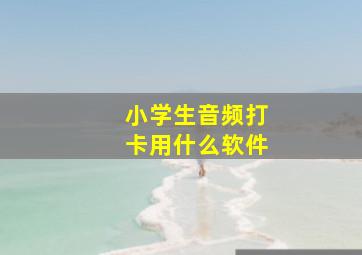 小学生音频打卡用什么软件