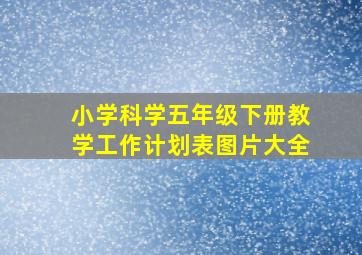 小学科学五年级下册教学工作计划表图片大全