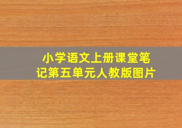 小学语文上册课堂笔记第五单元人教版图片