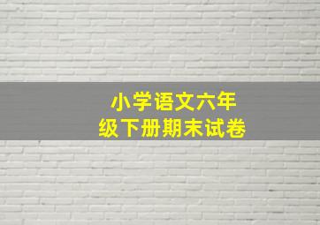 小学语文六年级下册期末试卷