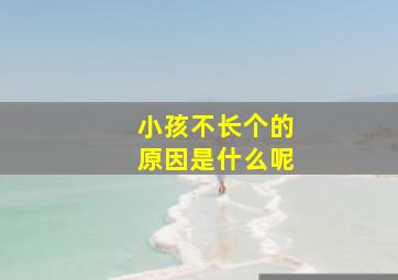 小孩不长个的原因是什么呢