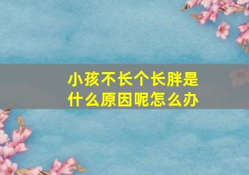 小孩不长个长胖是什么原因呢怎么办