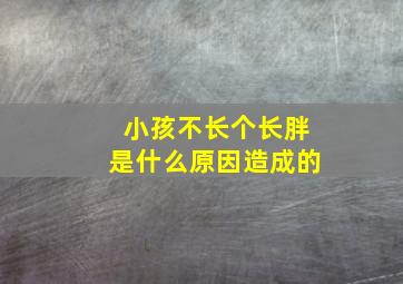 小孩不长个长胖是什么原因造成的