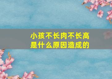 小孩不长肉不长高是什么原因造成的