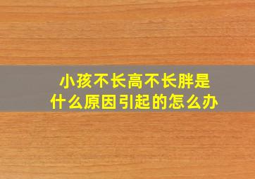 小孩不长高不长胖是什么原因引起的怎么办