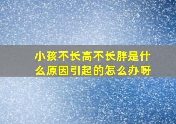 小孩不长高不长胖是什么原因引起的怎么办呀