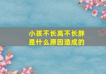 小孩不长高不长胖是什么原因造成的