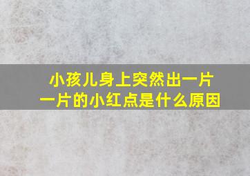 小孩儿身上突然出一片一片的小红点是什么原因