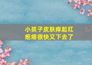 小孩子皮肤痒起红疙瘩很快又下去了